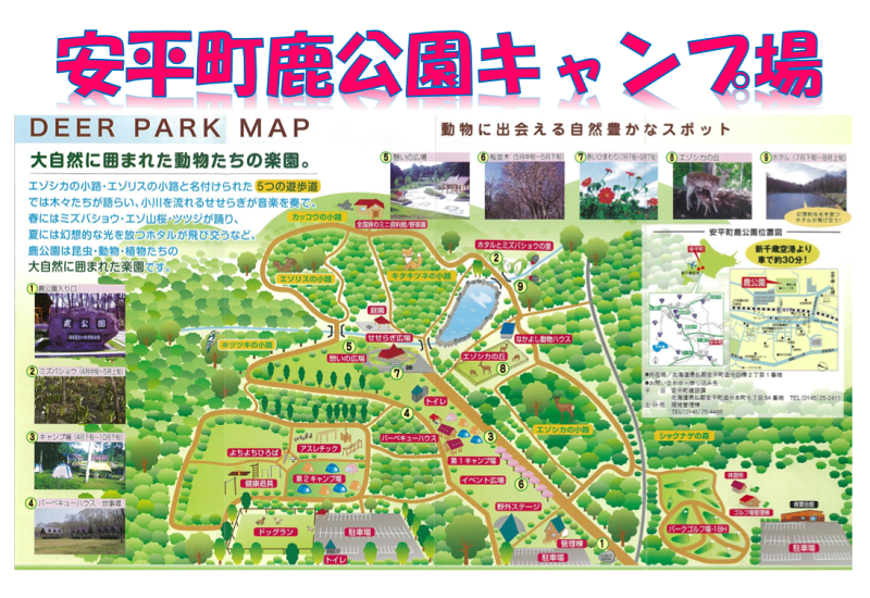 安平町鹿公園キャンプ場に行って来ました ココのブログ